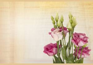 Pocztówka z okazji Dnia Kobiet 