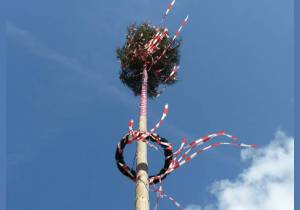 Drzewo majowe (Maibaum)